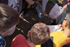 IMG_20191011_125734
